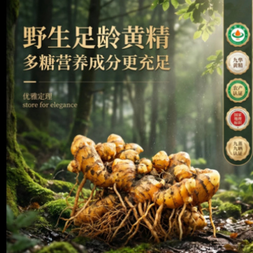 AI电商视觉与商业物料展示